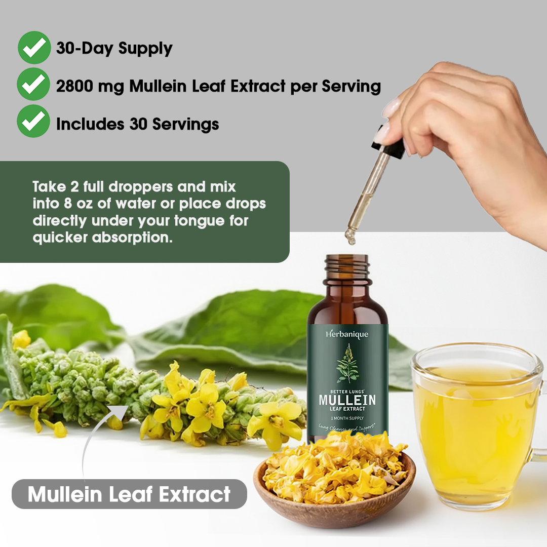 Herbanique Mullein Leaf Extract Drops