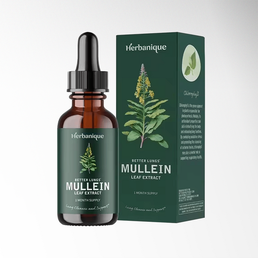 Herbanique Mullein Leaf Extract Drops