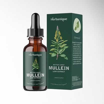 Herbanique Mullein Leaf Extract Drops