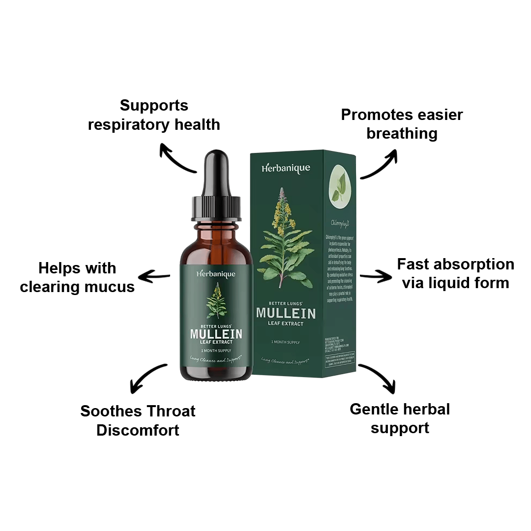 Meet the Herbanique Mullein Leaf Extract Drops Your Natural Respiratory Support Solution
